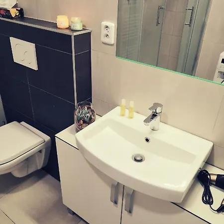 Apartmán Apartia Skorepka, Brno-centrum Brno