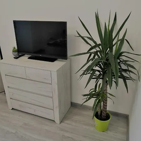 Apartia Skorepka, Brno-centrum *